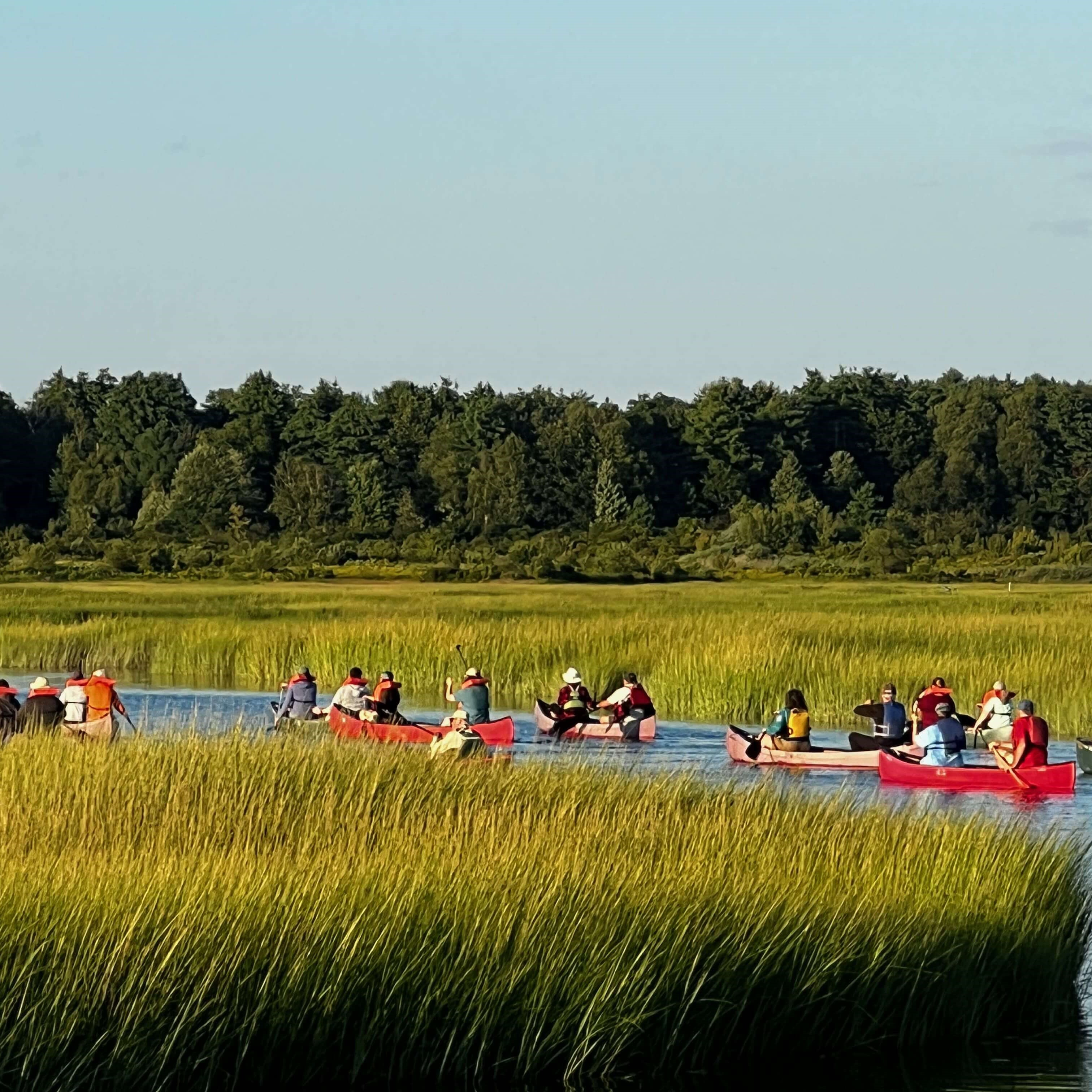 Birds Return with Spring Migration
