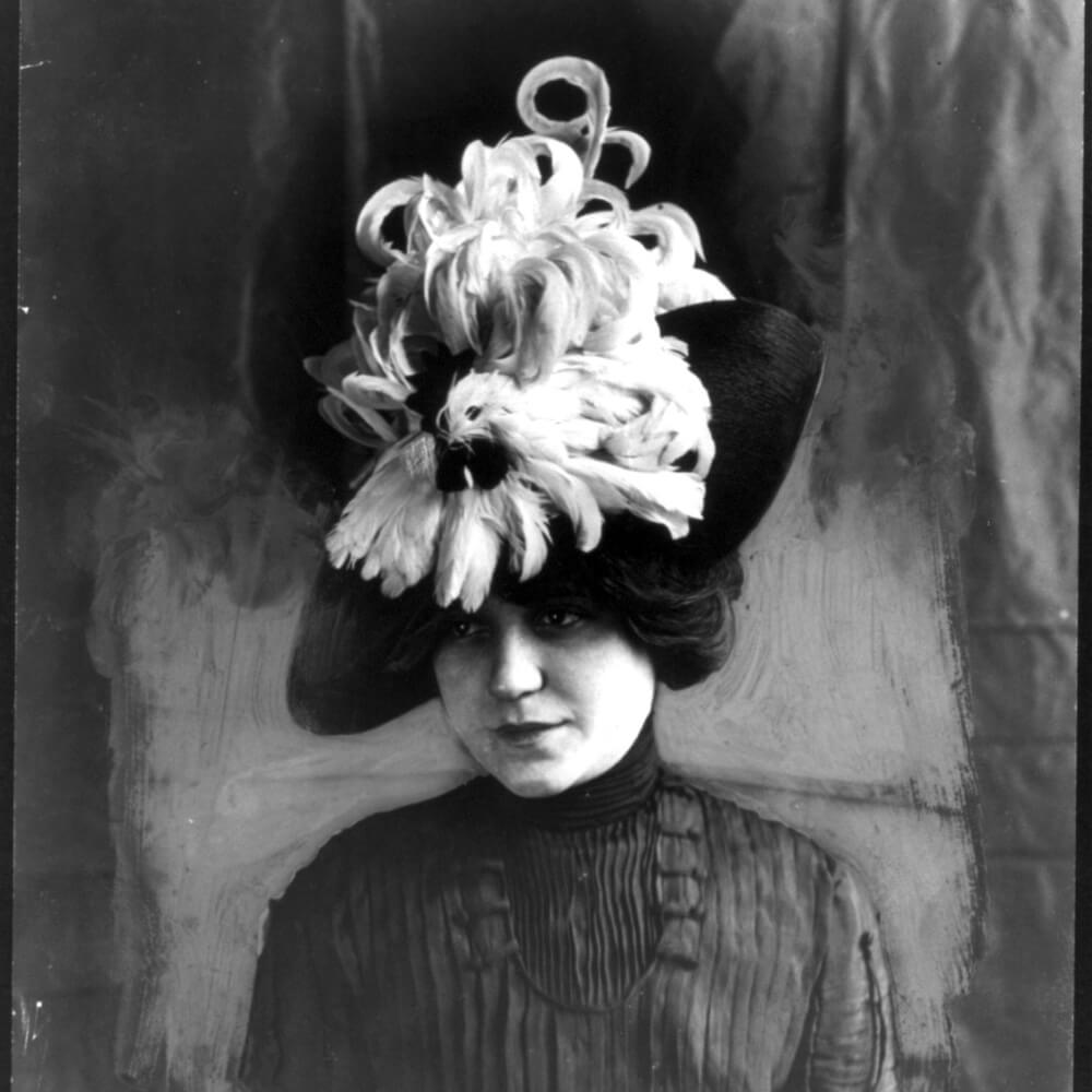 Celebrating the Snowy Egret