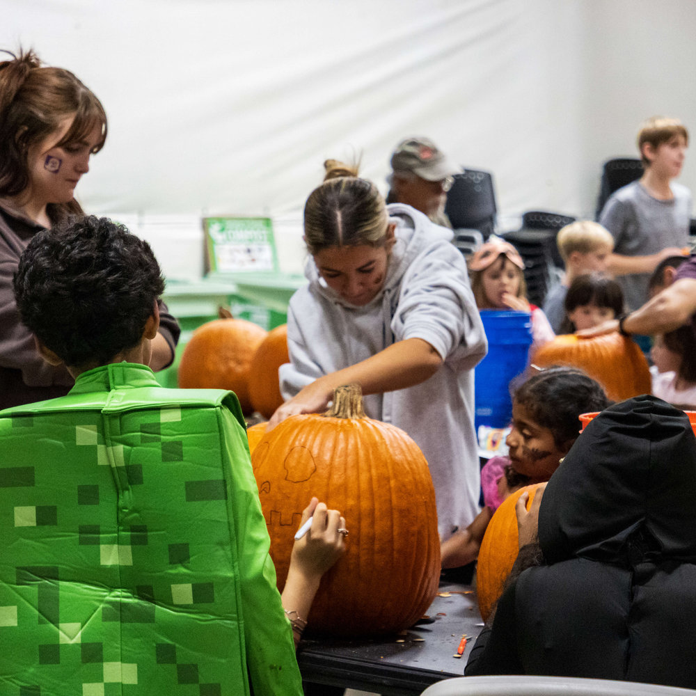 Things to Do: Oct-Nov 2026